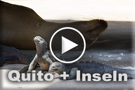 Tom Quito und Inseln